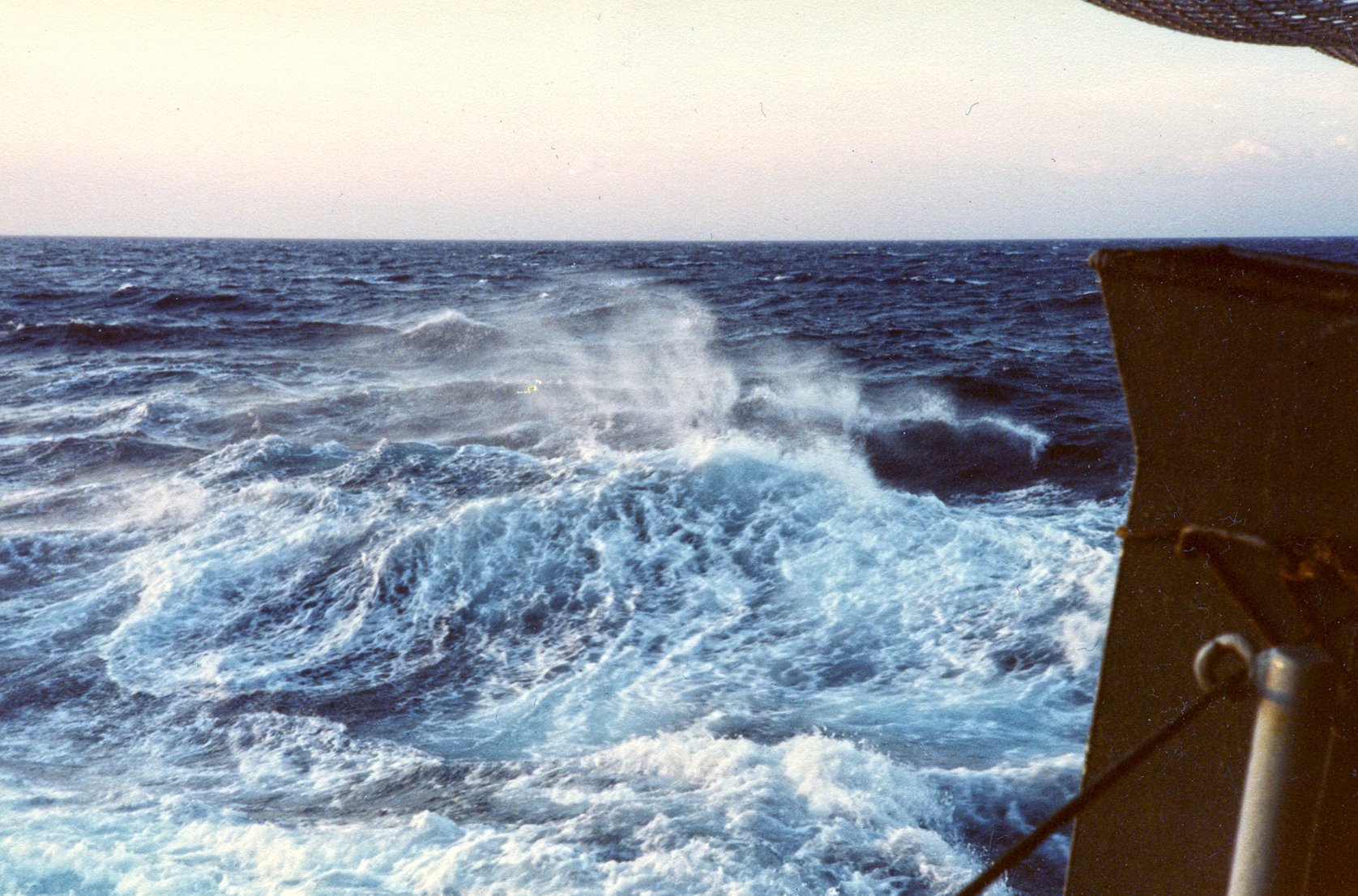 mangusta yacht fatturato